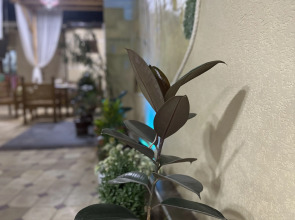 Гостевой Дом Dolon House