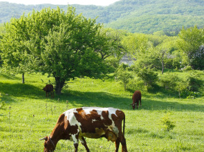 Жилые помещения Эко дом Перевальное