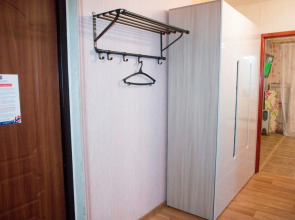 Двухкомнатные апартаменты у ДК Металлургов. Барбарис