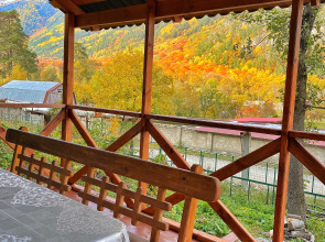 Шале Чинара