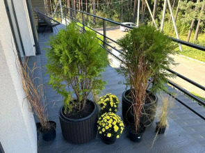 Апартаменты ForRest 7