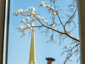 Апартаменты Адмиралтейство