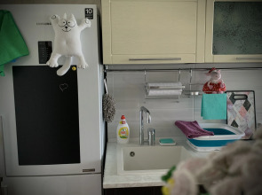 Апартаменты в Гостях у Кота Севы