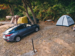 Пляжный Кемпинг 9-й километр