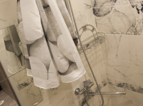 Апартаменты 1-комнатные с 1 спальней №3