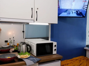 Апартаменты Боровая 34/24 №1