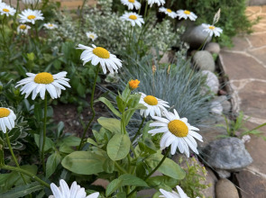 Гостевой Дом На Энгельса