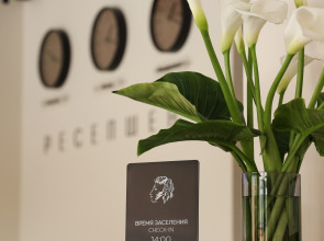 Гостиница Пушкинская