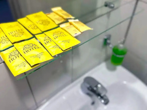 Отель Пионер