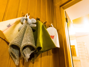 Апартаменты Центр города в 5 минутах езды размещение 12 мест, сауна, кондиционер