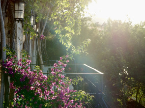 Отель Villa Tamara