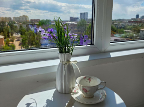 Апартаменты 237 Уютный Дом