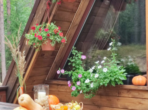 Частный дом Карелия А-Фрэйм