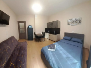 Апартаменты DreamHouse на Щербакова 12