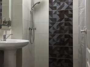 Отель Ариэль-Д