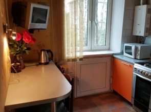 Квартира L.V.Hotels на Льва толстого 91