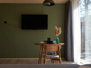 Снежные Гуси в Байкальске