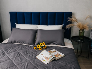 Апартаменты Альфа Хоум Плюс на Труда 165