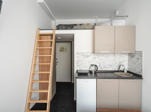 Апартаменты Нижний Ораниенбаум (309)