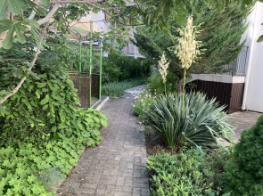 Отель Амалия