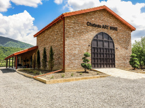 Отель Chateau Artwine