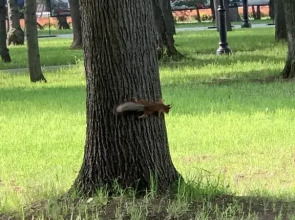 Апартаменты Причал 5