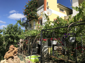 Гостевой Дом У Чижика