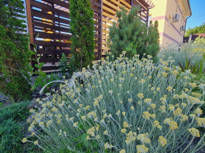 Гостевой Дом Abrau Soul&Spa