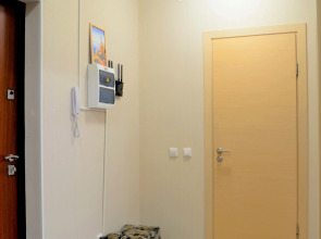 Квартира однокомнатная В гостях у Петербурженки Янино