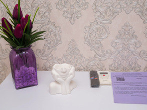 Квартира Роскошная с новым ремонтом в центре рядом с ЖД вокзалом