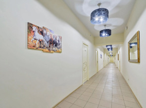 Отель Volga Volga