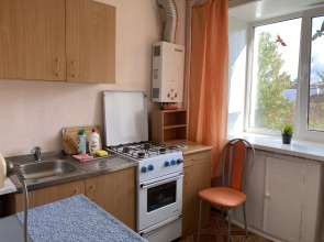 Квартира Однокомнатная на Ленина 18