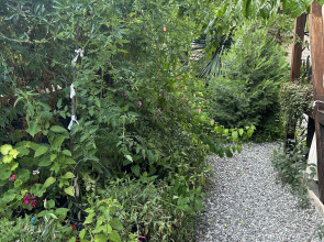 Гостевой дом Морская сказка