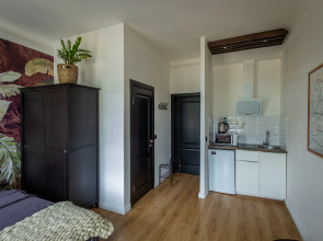 Апартаменты 1 на Рубинштейна 36