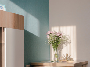 Апартаменты Argentum Home Дудинская 2