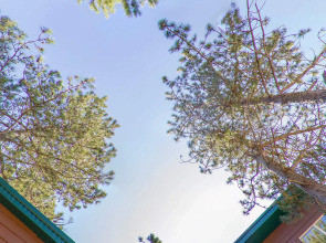 Гостевой дом Лодж Алтай