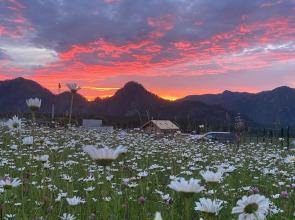 Гостевой дом Ptich&Co