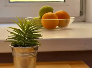 Апартаменты на 9-ой Линии В.О. 1