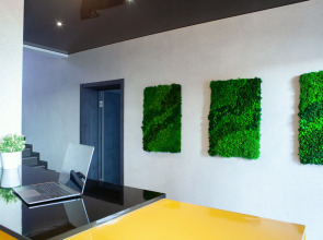 Гостевой дом LëSHinn