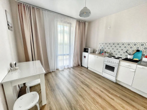 Квартира Елена Озерки