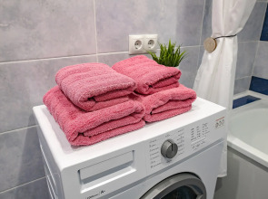 Апартаменты TopHouse на Жигура 12а  двухкомнатные