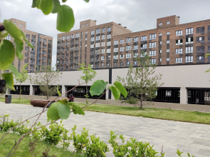 Квартира Клод Моне в ЖК Яблоневый