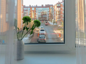 Квартира на Кокколевской 6