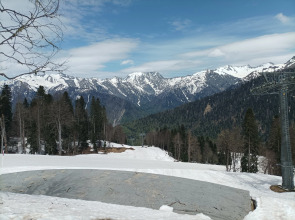 Квартира студия ТиМ