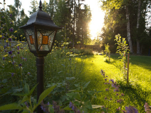 Гостевой Дом Вырицкий Мамонт