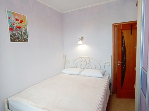 Квартира Увидеть Петербург на Пионерской