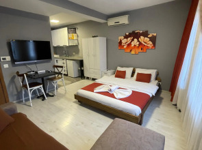 Апарт-отель Lion Apart Hotel Taxim