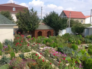 Гостевой дом Дилия