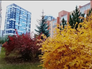 Апартаменты Студия в ЖК Южный парк