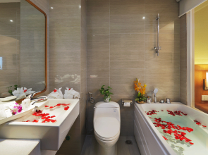 Отель Harmony Saigon Hotel & Spa